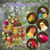 Wooden Bird Swing Toy with Chewing Beads for Parrots and Budgies