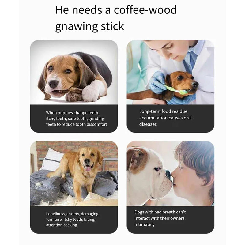 Jouet à Mâcher en Bois de Café Naturel pour Chiens