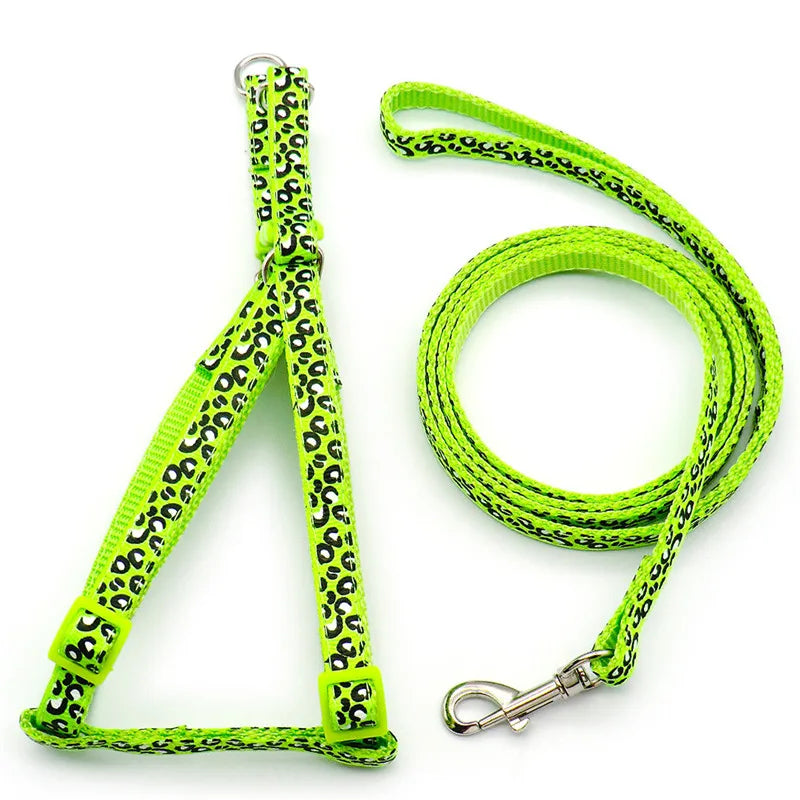 A bright lime green patterned dog harness and leash set for walking small pets.