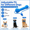 Dual-Action Canine Dental Prop for Dogs