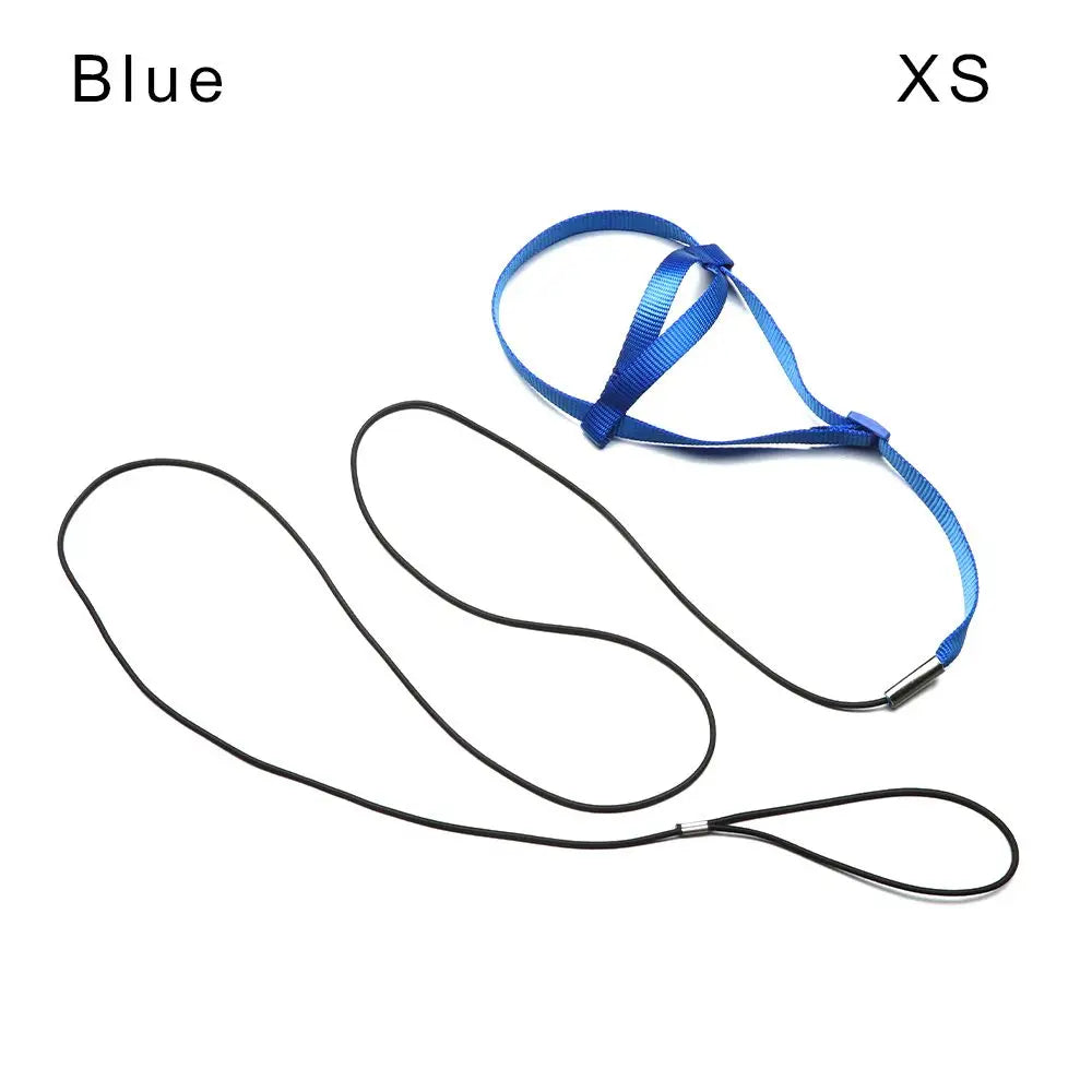 Blue XS comfortable bird harness and flight leash with adjustable straps