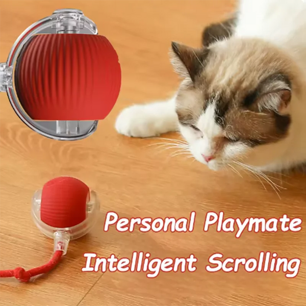 Balle de Jeu Interactive pour Chat à Recharge Automatique