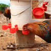 A rooster is drinking water from a red plastic cup attached to a beige container.