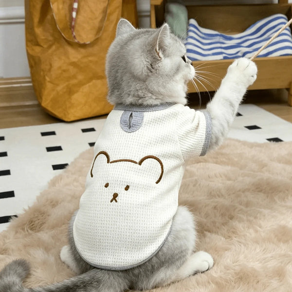 A gray cat wearing a white waffle knit shirt with brown bear embroidery, sitting on a fluffy beige rug.