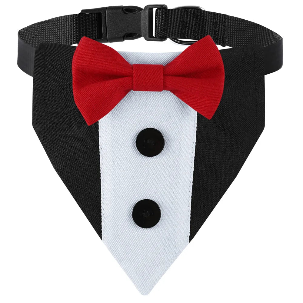 Black and white pet wedding collar featuring a red bow tie bandana