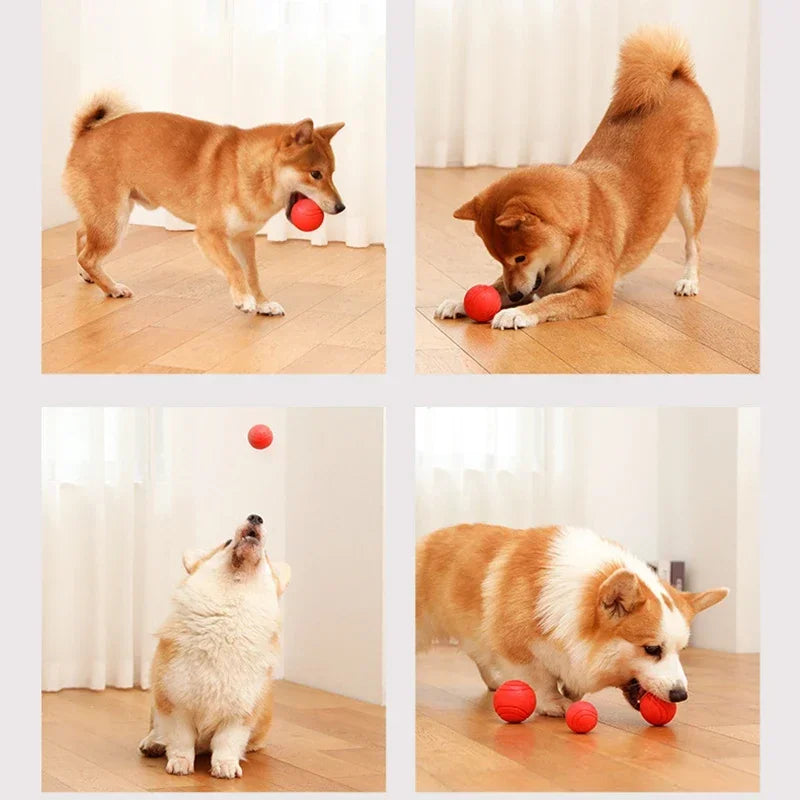 Two images show a fluffy orange dog playing with red rubber balls on a wooden floor.