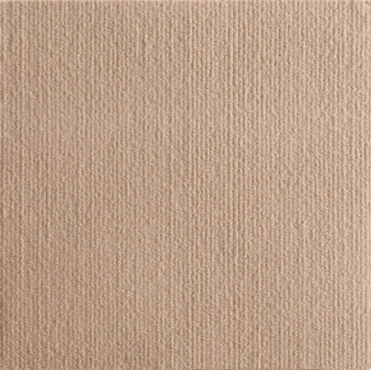 A close-up texture of a beige self-adhesive cat scratching pad material.