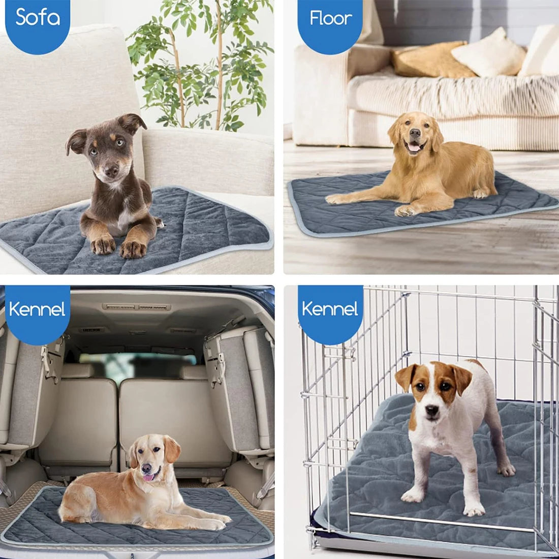 Divers lits et tapis pour animaux, présentés dans des contextes de canapé, sol et cage pour un soin auto-chauffant.