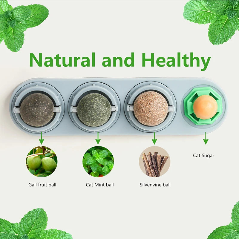 Edible Catnip Wall Balls for Dental Care and Play
