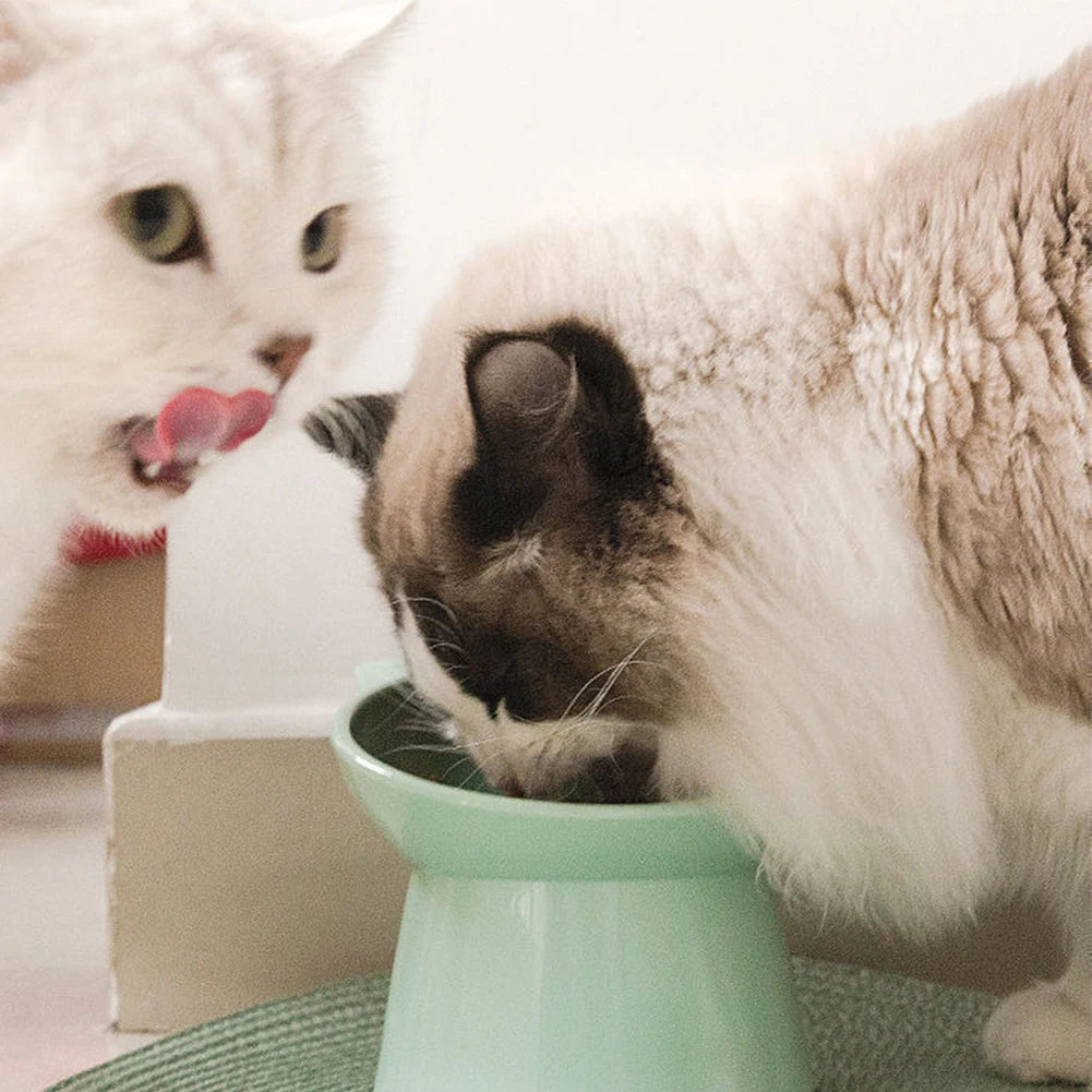 Two cats interacting with a light green tilted food bowl on a surface.
