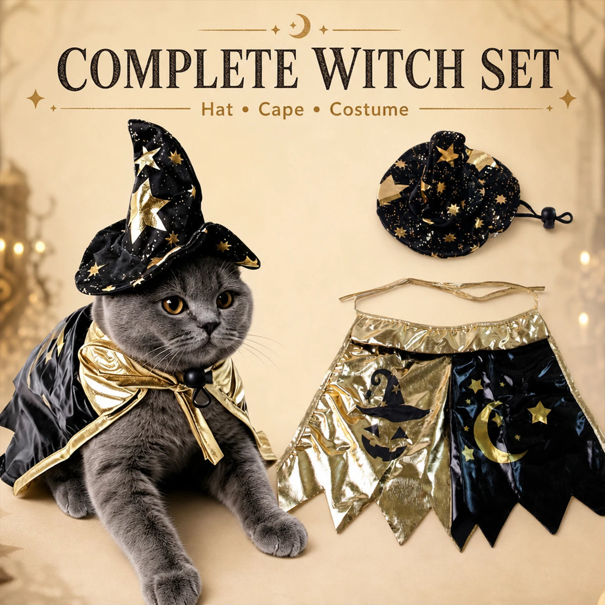 A gray cat wearing a black and gold witch costume set including a hat, cape, and costume pieces.