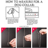 Polished Stainless Steel Slip Chain Dog Collar for Training and Walking