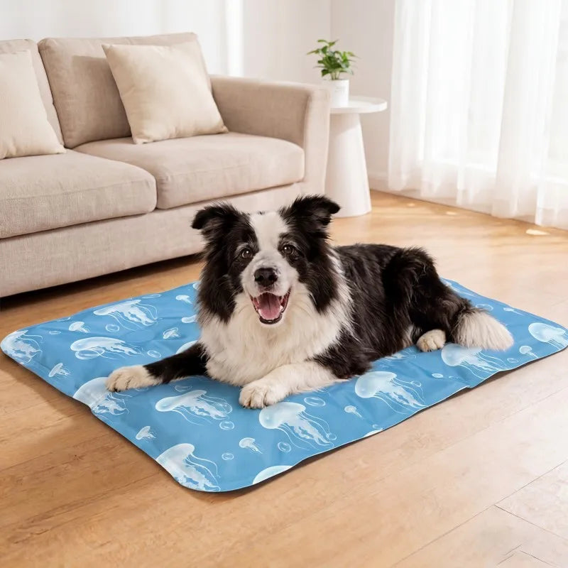 Ein schwarz-weißer Hund liegt auf einer blauen Kühlmatte drinnen.