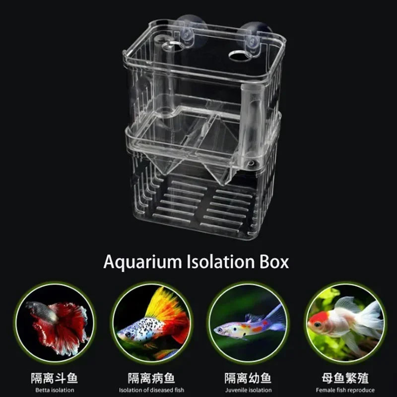 Acrylic Fish Breeding Isolation Box with Double Compartments