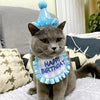 Happy Birthday Pet Party Hat and Bib Set