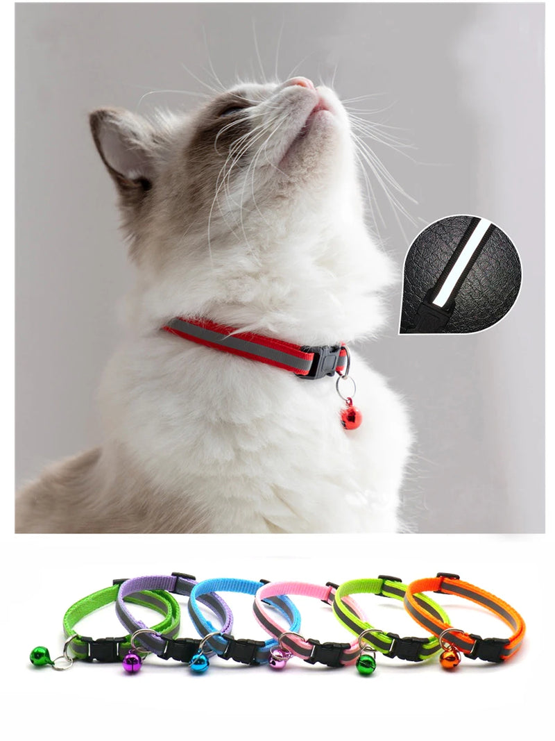 Reflektierende Sicherheits-Halsbänder für Katzen und kleine Hunde (2er-Pack)
