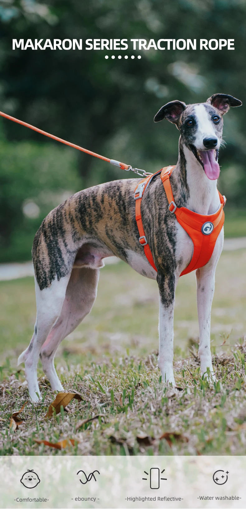 Reflective Nylon Dog Leash with Quick-Release Clip – 150cm