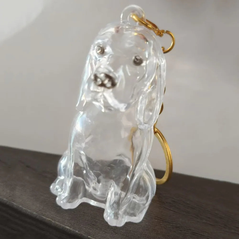 Pet Hair Storage Keychain – Transparent Dog & Cat Fur Keepsake Pendant