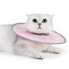 A fluffy white cat wearing a pink veterinary recovery collar.