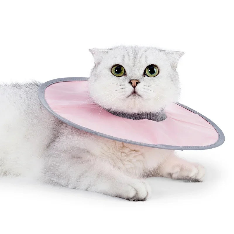 A fluffy white cat wearing a pink veterinary recovery collar.
