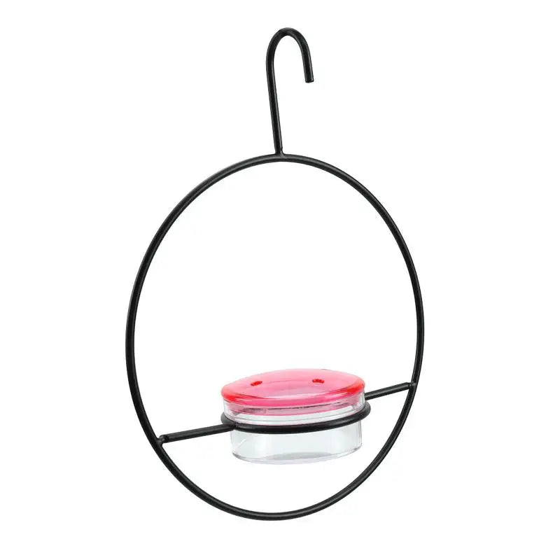 Metal Hanging Hummingbird Feeder with Glass Bottle