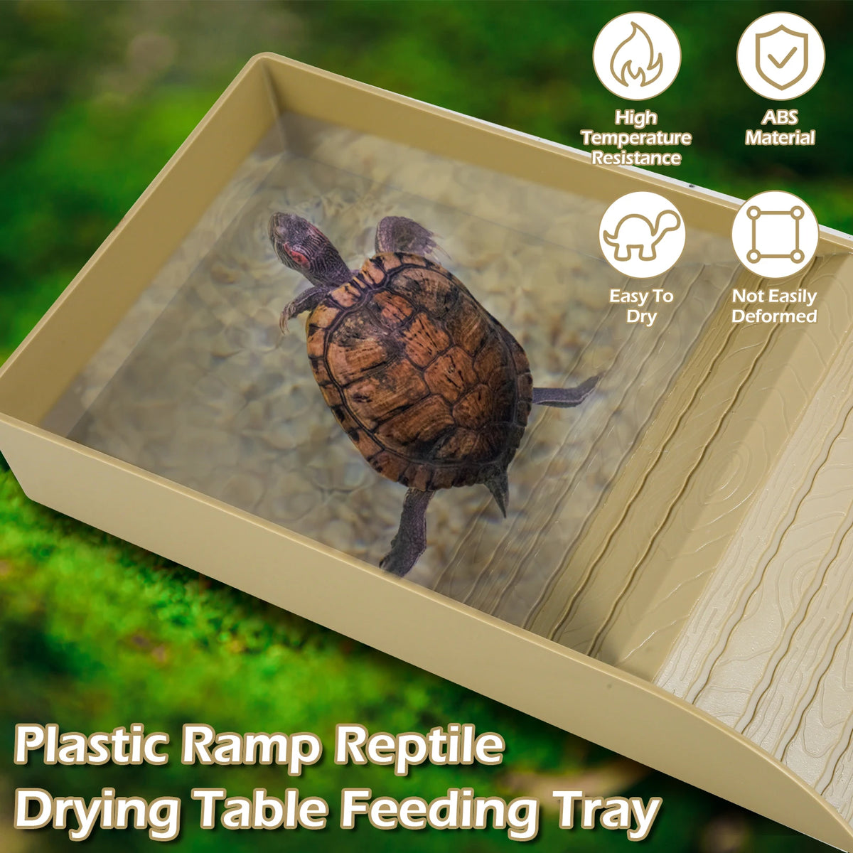 Reptile Food and Water Bowl with Anti-Slip Ramp