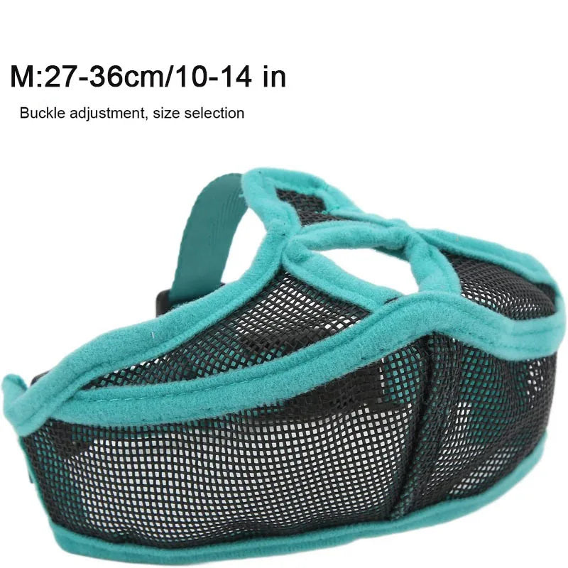 A teal mesh dog muzzle with black accents shown from above.