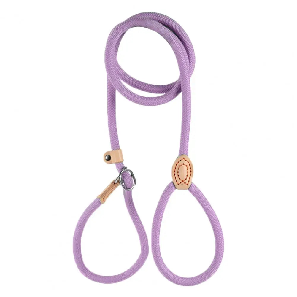A purple heavy duty slip lead dog leash with an adjustable stopper.
