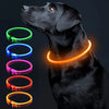 A black dog wearing a glowing LED collar demonstrating various color modes.