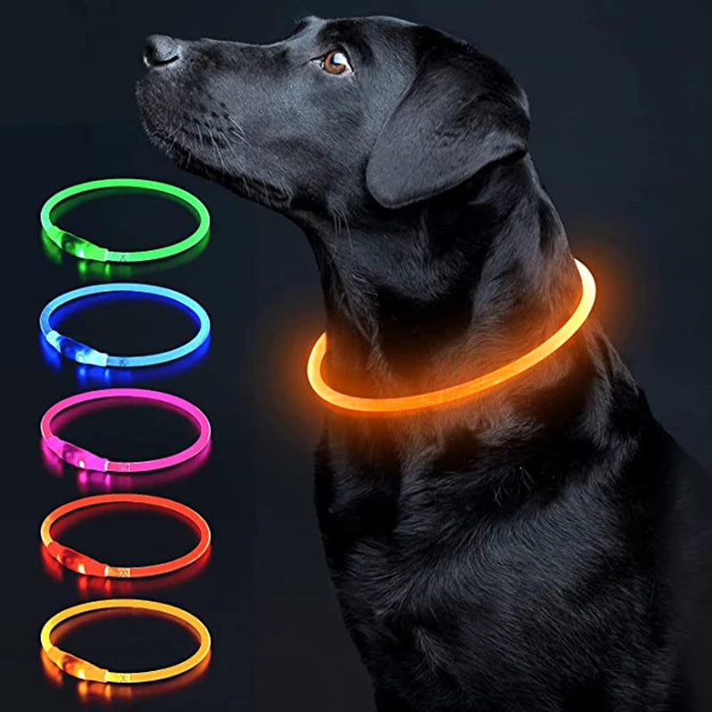 A black dog wearing a glowing LED collar demonstrating various color modes.