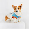A small, fluffy Shiba Inu dog wearing a light blue vest with orange trim and white markings.