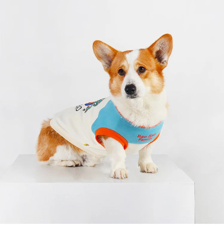 A small, fluffy Shiba Inu dog wearing a light blue vest with orange trim and white markings.