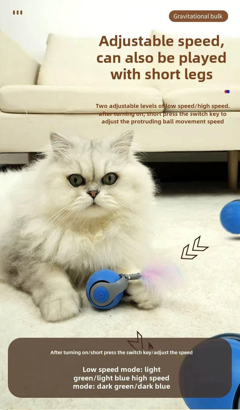 Ein flauschiger weißer Kater spielt mit einem blauen Ball und demonstriert die verstellbare Geschwindigkeit des smarten inter