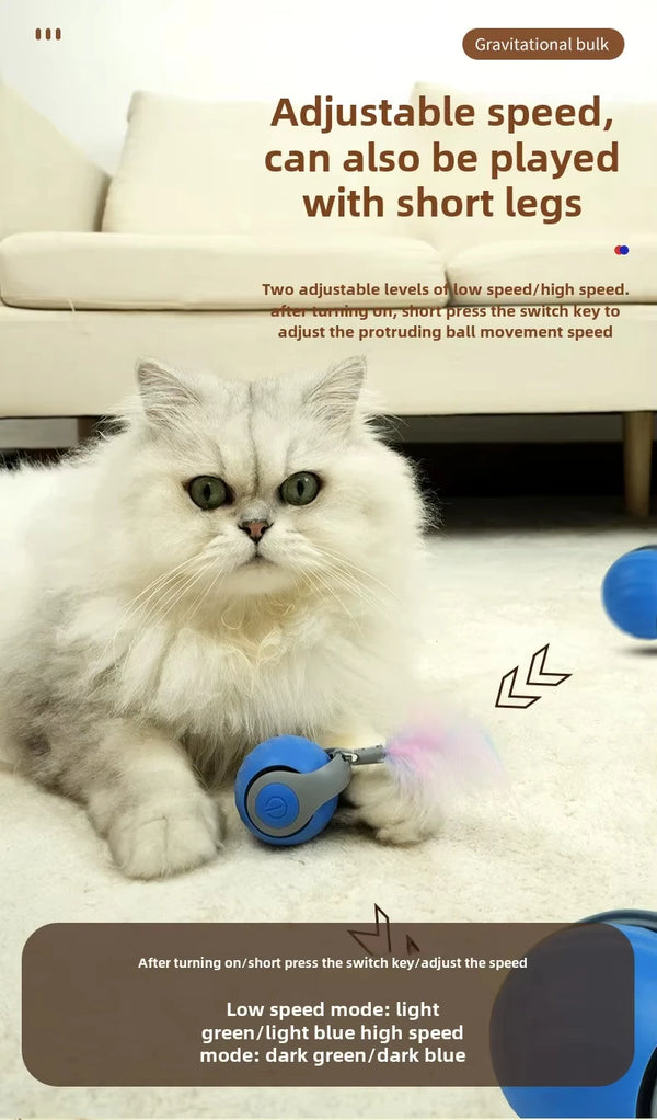 A fluffy white cat is playing with a blue ball, demonstrating the adjustable speed of the smart interactive toy.