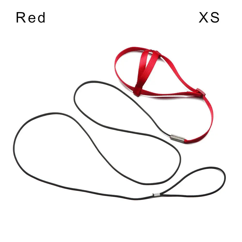 Red comfortable bird harness with an adjustable flight leash