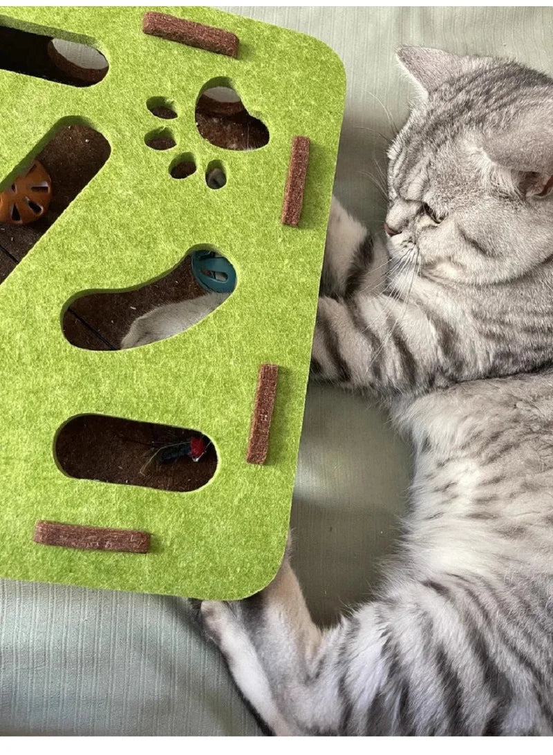 Un chat gris interagit avec un labyrinthe de puzzle en feutre vert conçu pour jouer.
