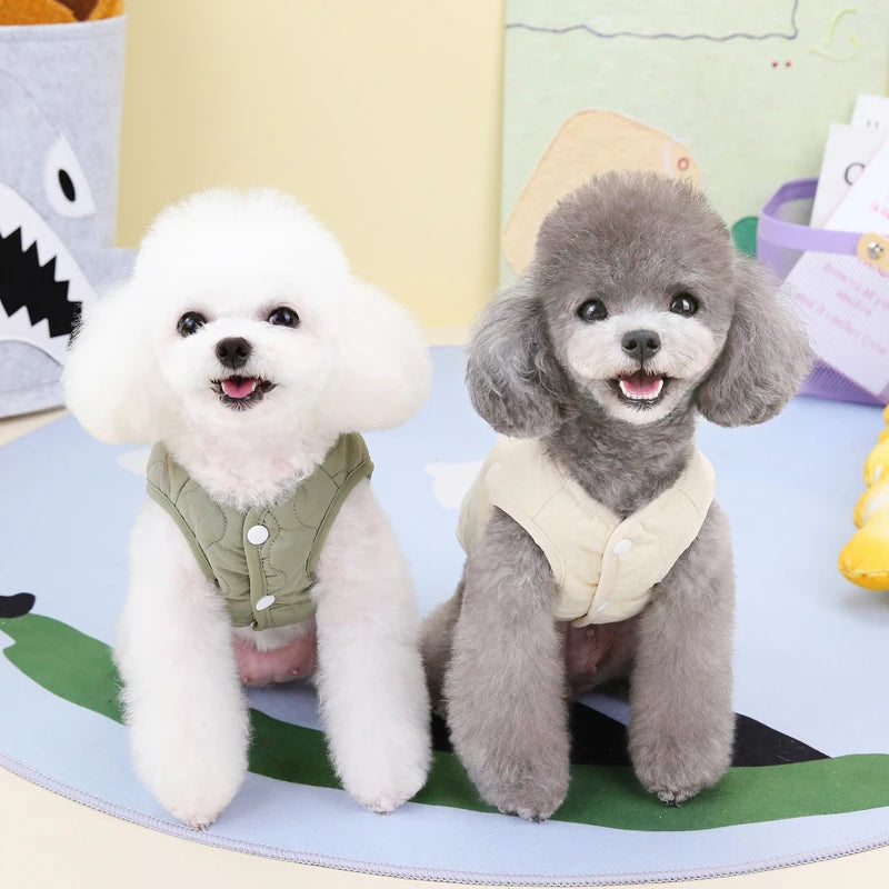Two small, fluffy grey and white puppies wearing cozy winter pet vests sitting on a light blue surface.