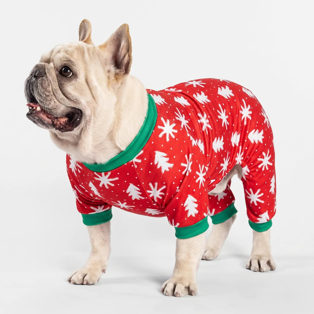 A fawn-colored dog wearing a red jumpsuit with white snowflake patterns and a green collar.