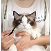 A cat is being groomed with a black brush, demonstrating the use of a pet tear stain remover for dogs and cats.