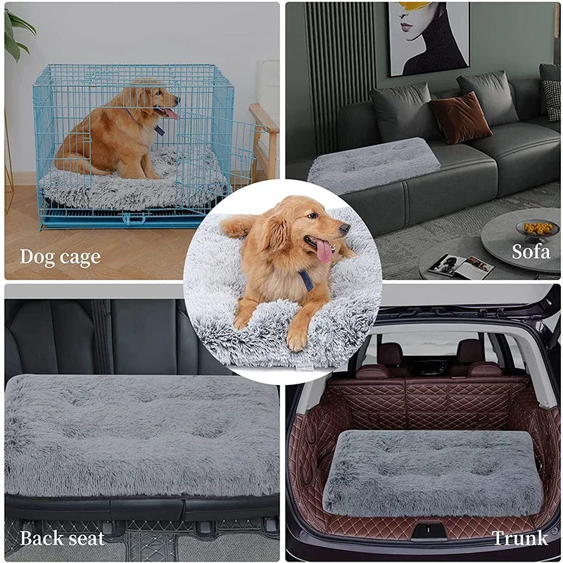 Various pet bedding products including a blue dog cage, a plush pet bed, and a trunk pet seat.