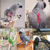Nylon Bird Training Rope Harness Leash - Anti-Bite Parrot