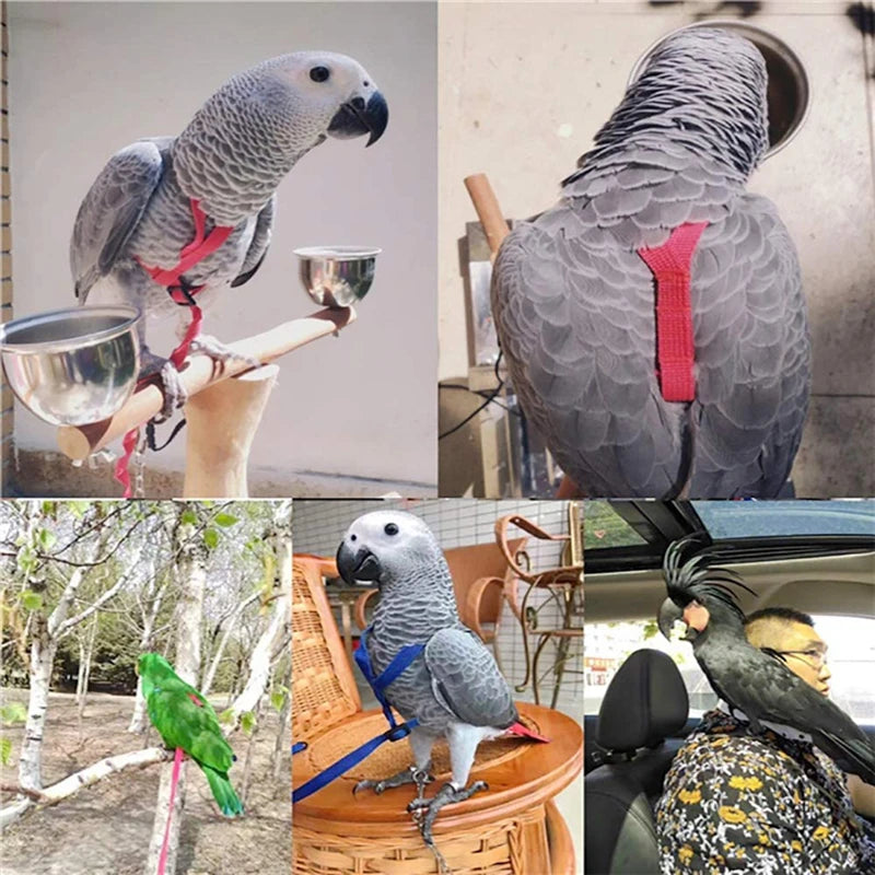 Nylon Bird Training Rope Harness Leash - Anti-Bite Parrot