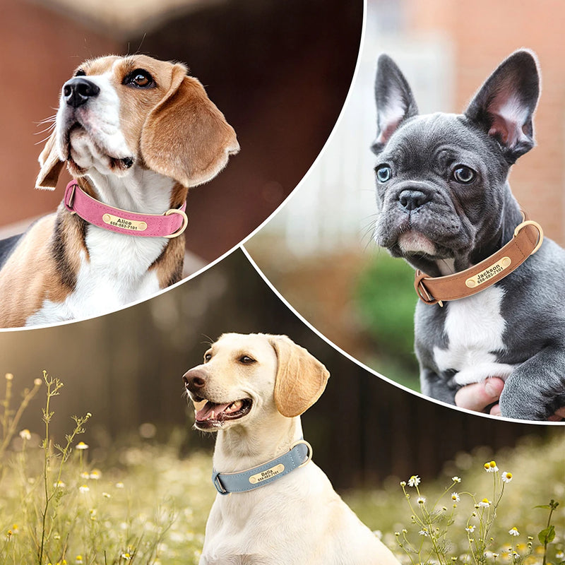 Personalisiertes Leder-Hundehalsband mit graviertem ID-Tag