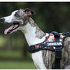 Adjustable No-Pull Dog Harness with Reflective Straps