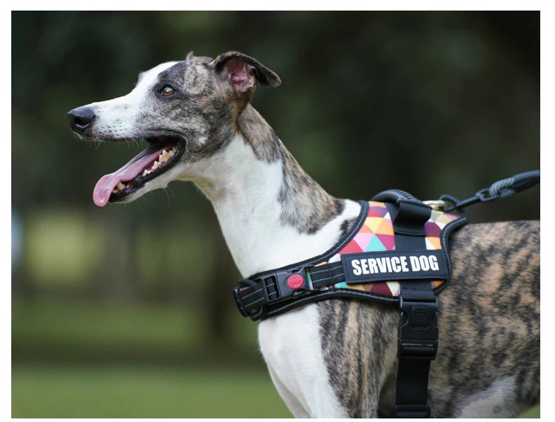 Adjustable No-Pull Dog Harness with Reflective Straps