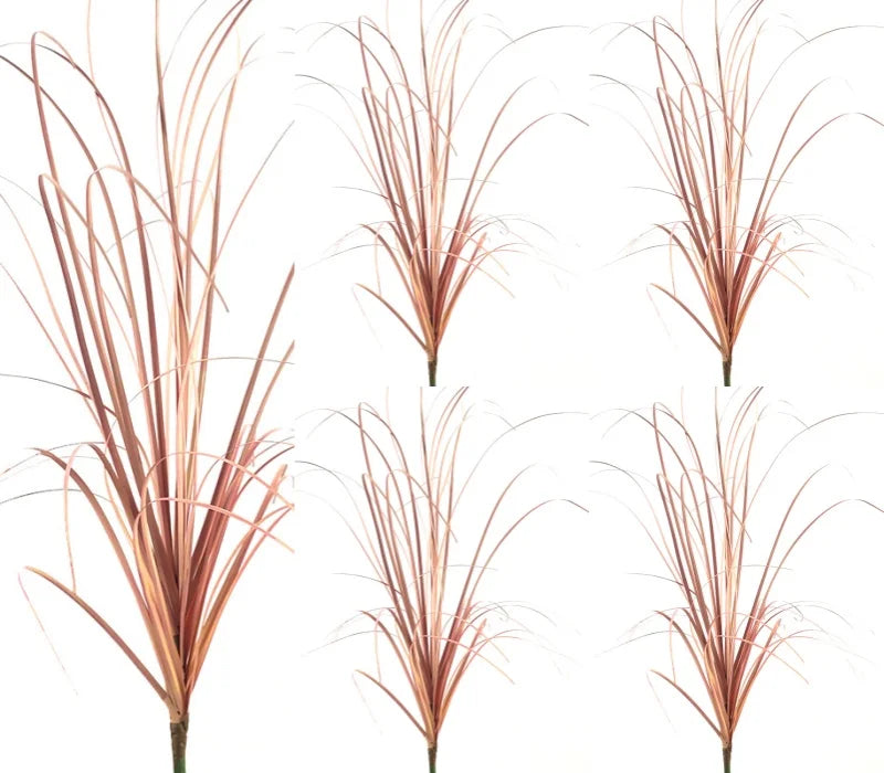 A close-up view of dried, reddish-brown onion grass for garden decoration.