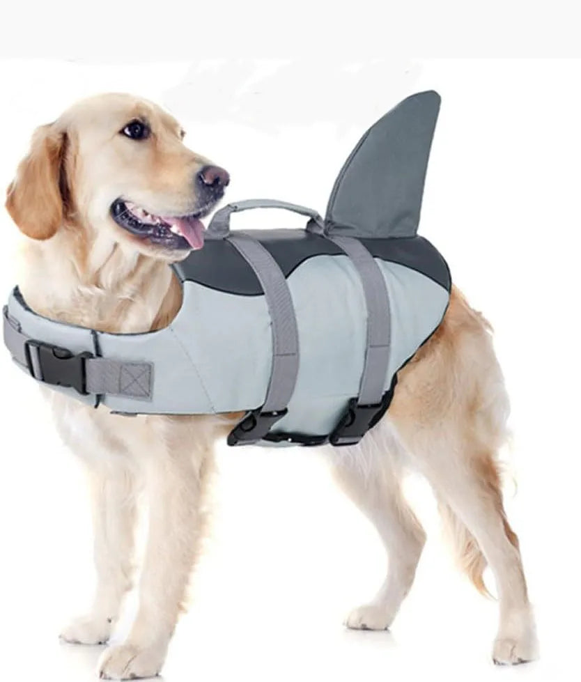 A light-colored dog is wearing a gray life jacket with a fin for swimming.