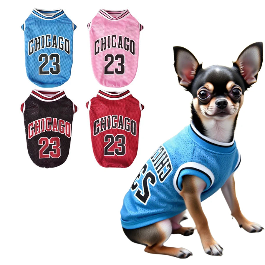 A chihuahua wearing a blue basketball vest with Chicago 23 lettering, alongside three similar pink and red vests.
