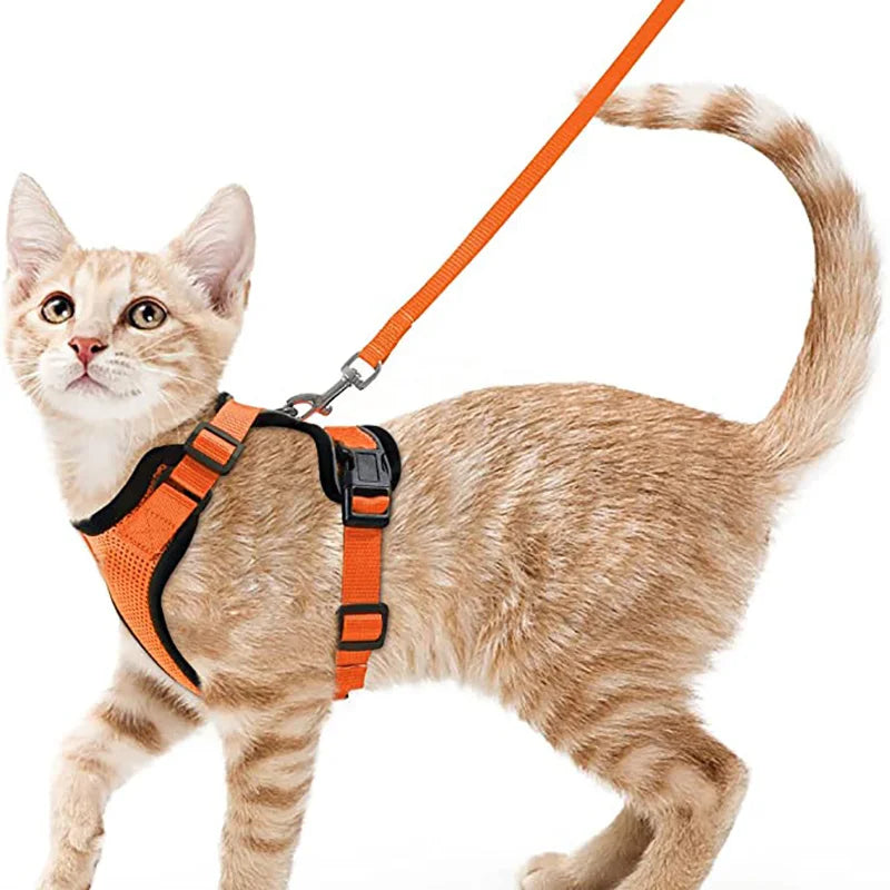 Ausbruchssicherer Katzengeschirr mit Leine