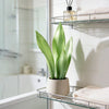 Artificial Snake Plant Decorative Faux Sansevieria